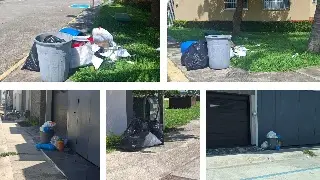 Vecinos reportan que no pasa el camión de la basura en Las Palmas, Medellín
