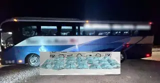 Imagen Aseguran 200 mil pastillas de fentanilo en autobús de pasajeros en Sonora