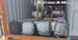 Imagen Decomisan 200 kilos de cocaína en un puerto de Baja California