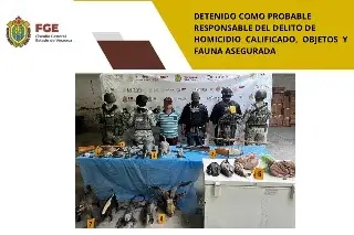 Imagen Aseguran animales disecados y especies protegidas durante cateo en Tierra Blanca