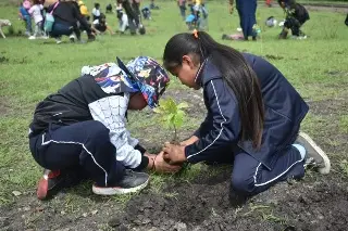 Imagen Reforestan terrenos con dos mil 500 árboles en Acultzingo, Veracruz 
