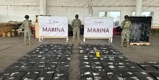 Imagen Aseguran casi 350 kilos de marihuana en Recinto Portuario de Veracruz 