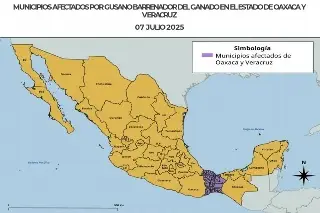 Imagen Activan protocolo de emergencia por gusano barrenador en Veracruz; liberan moscas estériles