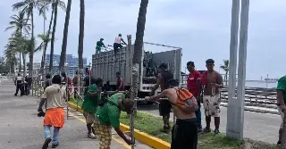 Imagen Reportan un avance del 75% en el retiro de las gradas en el Bulevar Manuel Ávila Camacho