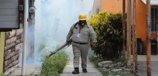 Imagen Activan estrategia conjunta para contener contagios del dengue en Veracruz: Sesver