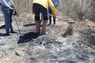 Imagen Guerreros Buscadores de Jalisco encontró predio con huesos calcinados, cerca de Teuchitlán (+VIDEO)