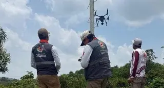 Revisan condiciones de palos para ritual de los voladores en Papantla