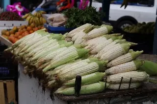 Imagen México garantiza 'abasto nacional' de maíz blanco para 2025