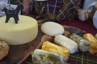 Imagen Reportan caída del 50% de producción de leche y queso en 2 municipios de Veracruz 