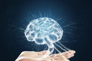 Imagen ¿Cómo fortalecer la salud cerebral? Esto dice el IMSS Veracruz Norte 