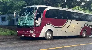 Imagen Autobús turístico impacta una camioneta y deja varios heridos en la carretera Paso del Toro-Alvarado
