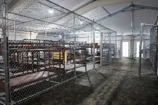 Imagen Cámara de Diputados exige a EU cierre de Alligator Alcatraz y liberación de detenidos