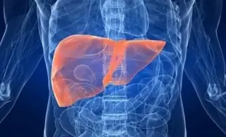 Imagen Secretaría de Salud busca la 'eliminación' de la hepatitis C como problema de salud pública