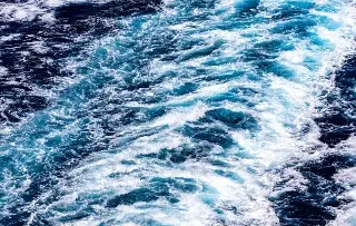 Imagen Las olas de calor marinas ya afectaron al 96% de la superficie oceánica en 2023, según estudio
