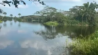 Imagen ¿Hay cocodrilos en Lagos de Puente Moreno? Esto indica PC 