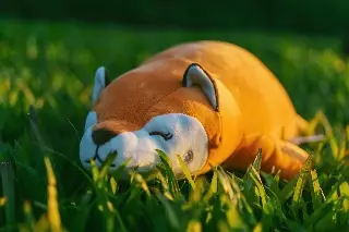 Imagen Ante abandono en Veracruz, piden tener perros robot o de peluche, pero no animales 