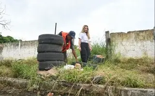 Imagen Solicitarán a PMA la limpieza de la Laguna de Lagartos 