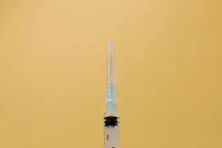Imagen Estudio preclínico muestra que una sola inyección al nacer protege del VIH durante años