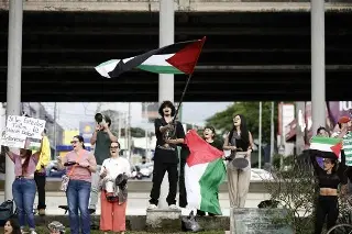 Imagen Declarar Palestina como Estado es para presionar a Israel y frene la ofensiva: Experto 