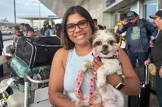 Imagen  ¿Cómo es viajar con un perro en avión y qué requisitos cumplir?  