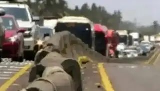 Imagen Se registra cierre parcial de circulación en carretera de Veracruz 