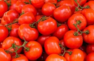 Imagen La papa evolucionó a partir del tomate hace unos 9 millones de años, según estudio