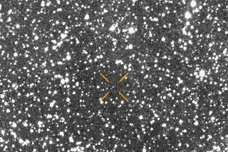 Imagen Se trata de un cometa que viene de otra estrella, explica astrónomo 