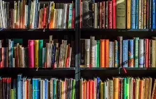 Imagen ¿De vacaciones? Invitan a leer el cuento de 'Mitos, monstruos y caos de la antigua Grecia' 