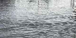 Imagen Inundaciones revelan huellas de dinosaurio de más de 100 millones de años en Texas 