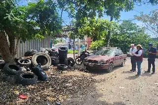 Imagen Eliminan criaderos de mosquitos del dengue en la zona conurbada Veracruz - Boca del Río