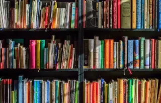 Imagen ¿De vacaciones todavía? Invitan a leer los poemas de 'Dormir el trópico' 