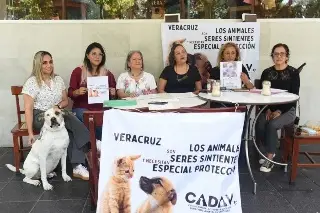 Imagen Urgen al Congreso de Veracruz a votar iniciativa para reconocer a los animales como seres sintientes