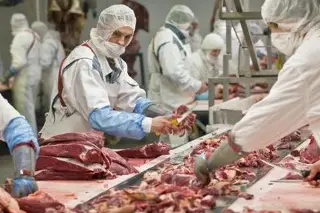 Imagen Ganaderos alertan sobre saturación del mercado mexicano con carne brasileña
