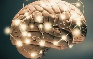 Imagen Mapa corporal integrado en el cerebro no cambia tras una amputación 