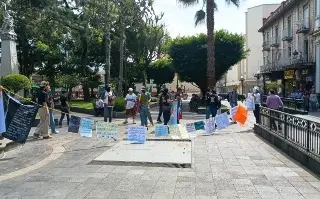 Imagen Marchan en Orizaba tras muerte de león en su jaula de la Reserva Animal  