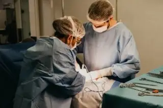 Imagen Realizan el primer trasplante de pulmón de cerdo a un humano en muerte cerebral