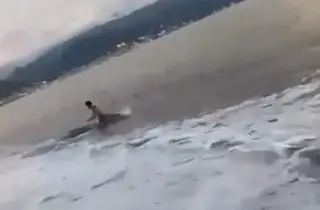 Imagen Cocodrilo ataca a joven bañista en la playa de Puerto Vallarta (+Video)