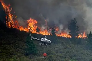 Imagen Disminuyen incendios forestales en España, suman 400 mil hectáreas afectadas