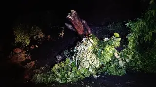 Imagen Por fuertes lluvias, se registra deslave en carretera de Veracruz 