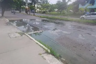 Imagen Vecinos de Lomas de Río Medio se quejan por una fuga de aguas negras en calles del fraccionamiento
