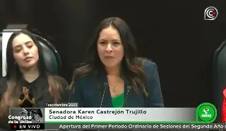 Imagen En la relación con EU, México ha actuado con temple y eficacia: PVEM