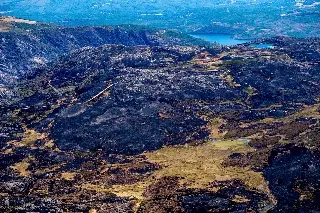 Imagen Recientes incendios en España y Portugal empeorarán calidad del aire en Europa: OMM