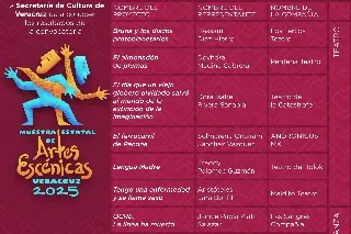 Imagen Presentan resultados de la convocatoria Muestra Estatal de Artes Escénicas Veracruz 2025