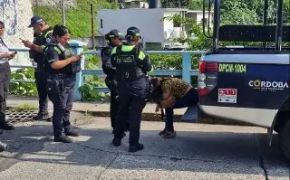 Imagen Evitan que mujer salte de puente en Córdoba, Veracruz