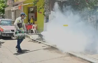 Imagen Refuerzan campañas de prevención contra el dengue en Veracruz