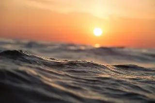 Imagen Calentamiento oceánico amenaza a unos microbios para la fotosíntesis global: Estudio 