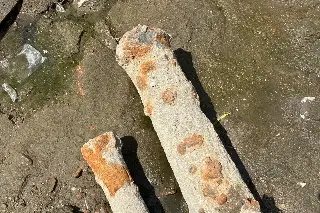 Imagen ¿Cañones hallados en el centro de Veracruz quedarán enterrados?