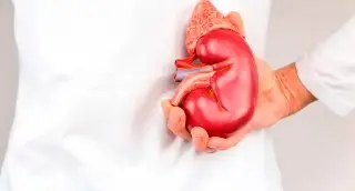 Imagen ¿Qué órganos y tejidos se pueden donar en Veracruz?