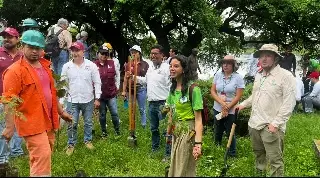 Imagen Realizan jornada de limpieza y reforestación de las lagunas La Ilusión y El Ensueño en Veracruz