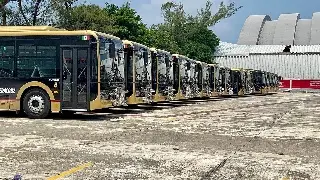 Al menos 10 rutas tendrán camiones de pasaje Ulúa en una primera etapa: Transportistas